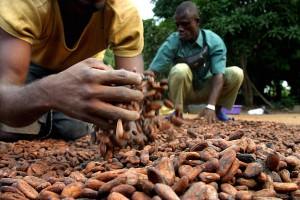 L’AMARA STORIA DEL CACAO