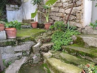 L'erba del vicino è (quasi) sempre più verde...