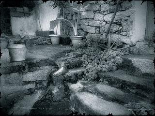 L'erba del vicino è (quasi) sempre più verde...