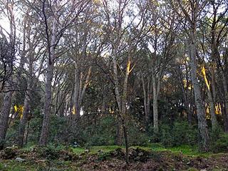 L'erba del vicino è (quasi) sempre più verde...