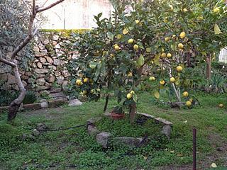 L'erba del vicino è (quasi) sempre più verde...