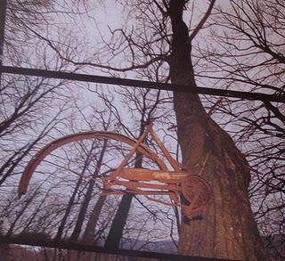 L'albero della bicicletta