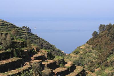 Ricostruiamo i muretti a secco delle Cinque Terre!