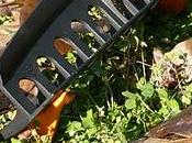 Prodotti prova Rastrello in-lock della Fiskars