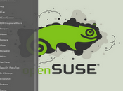 Installare Cinnamom OpenSuse 12.1