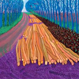 David Hockney e la Natura