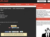 Megaupload, successore?