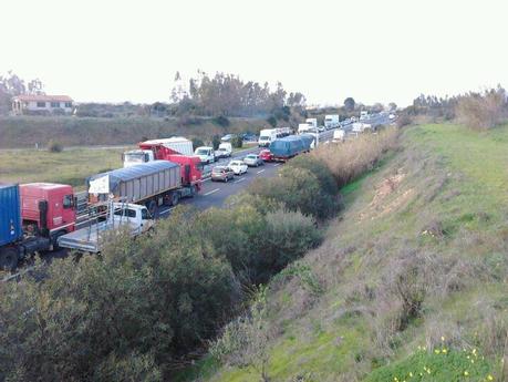 Blocco della Sardegna. Aggiornamento ore 17.00. Presidi ad oltranza ovunque