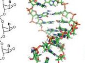 TNA: nuova molecola della vita?
