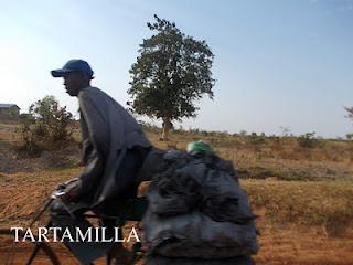 Un albero di mano in mano per la Tanzania