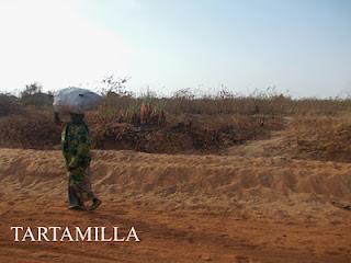 Un albero di mano in mano per la Tanzania