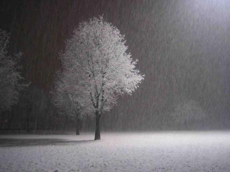 Una ...nevicata di parole