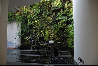 Giardini dei mestieri_il botanico, Patrick Blanc 2009