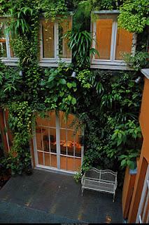 Giardini dei mestieri_il botanico, Patrick Blanc 2009