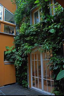 Giardini dei mestieri_il botanico, Patrick Blanc 2009