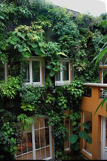 Giardini dei mestieri_il botanico, Patrick Blanc 2009