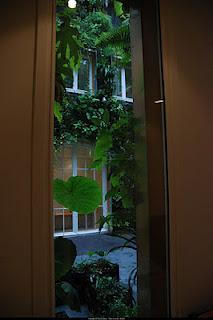 Giardini dei mestieri_il botanico, Patrick Blanc 2009