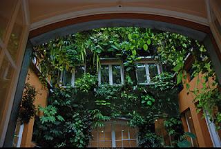 Giardini dei mestieri_il botanico, Patrick Blanc 2009