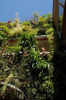 Giardini dei mestieri_il botanico, Patrick Blanc 2009