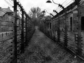 gennaio: Giorno della Memoria. dimenticare...