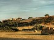 Crime News Roma: trovato cadavere carbonizzato aperta campagna