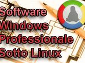 Software Windows professionale Linux