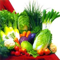 Dieta Vegetariana vantaggi e svantaggi