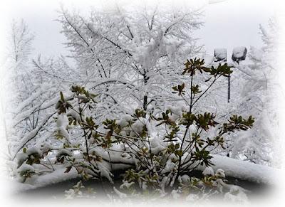 La prima nevicata