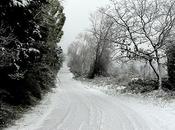 Allerta meteo L’Italia sotto morsa dell’inverno