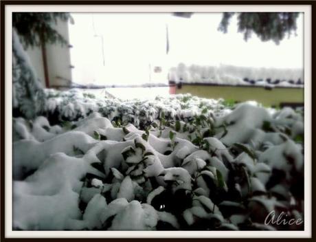 La prima nevicata del 2012!!