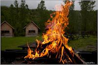 Da quale carta dei Tarocchi sei attratto? - 2° Parte