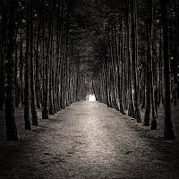 Da quale carta dei Tarocchi sei attratto? - 2° Parte