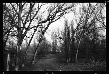 LOMOGRAPHY • Agfa Clack e Ilford FP4 PLUS