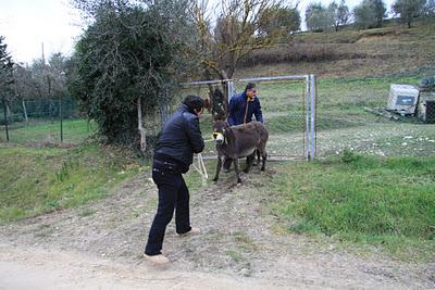 il backstage del set del carnevale fotografico