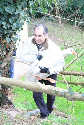 il backstage del set del carnevale fotografico