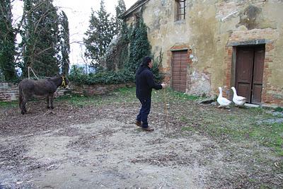 il backstage del set del carnevale fotografico