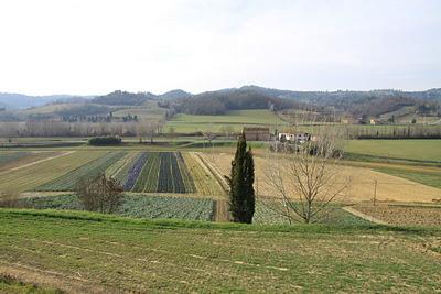 la spesa alla fattoria di Corazzano