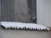 neve-30-gennaio-1
