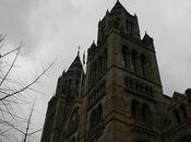 London: Natural History Museum Chinese Year