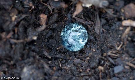 Hailstorm: A crater left behind in the Hornsbys' vegetable patch after the freak weather