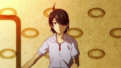 Araragi, Koyomi