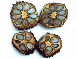 Riciclo e Riuso Creativo - 5 Online Shops da Tenere D'Occhio