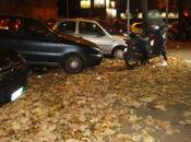 Dossier foglie secche