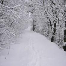 Allerta Meteo gelo e neve in tutta Italia