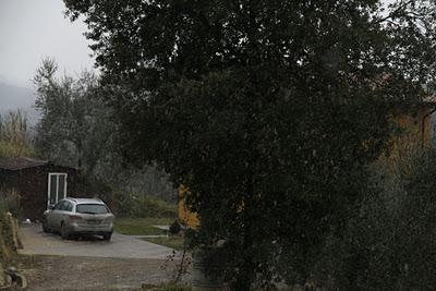 terzo giorno della merla, ecco la neve