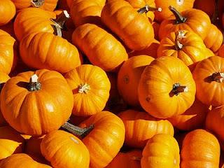 L'agrodolce della tradizione... Tortelli di zucca