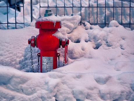 Red in the snow