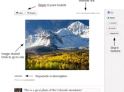 Pinterest: social content curation aziende