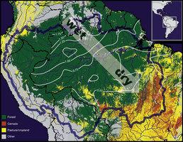 Amazzonia: le grandi opere minacciano foreste e sviluppo