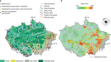 Amazzonia: le grandi opere minacciano foreste e sviluppo